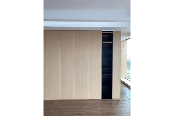 Shoe Cabinet